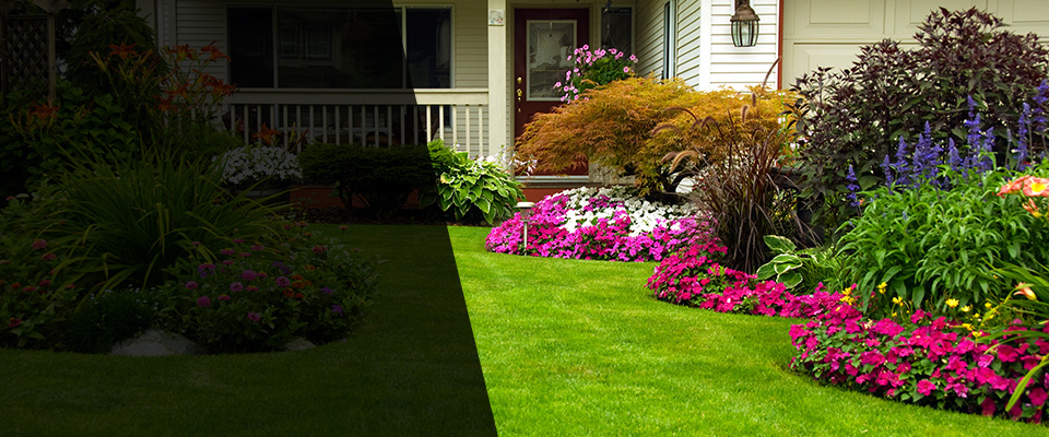 Tempe Landscapers