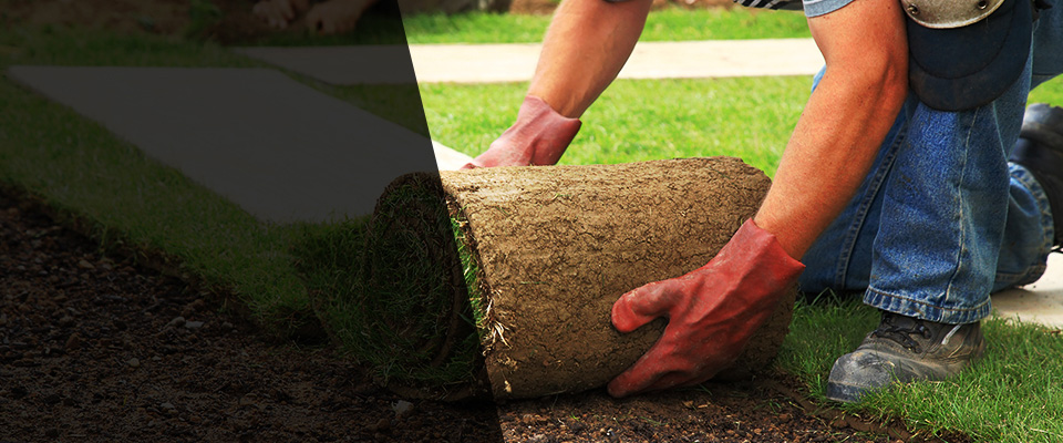Tempe Landscapers